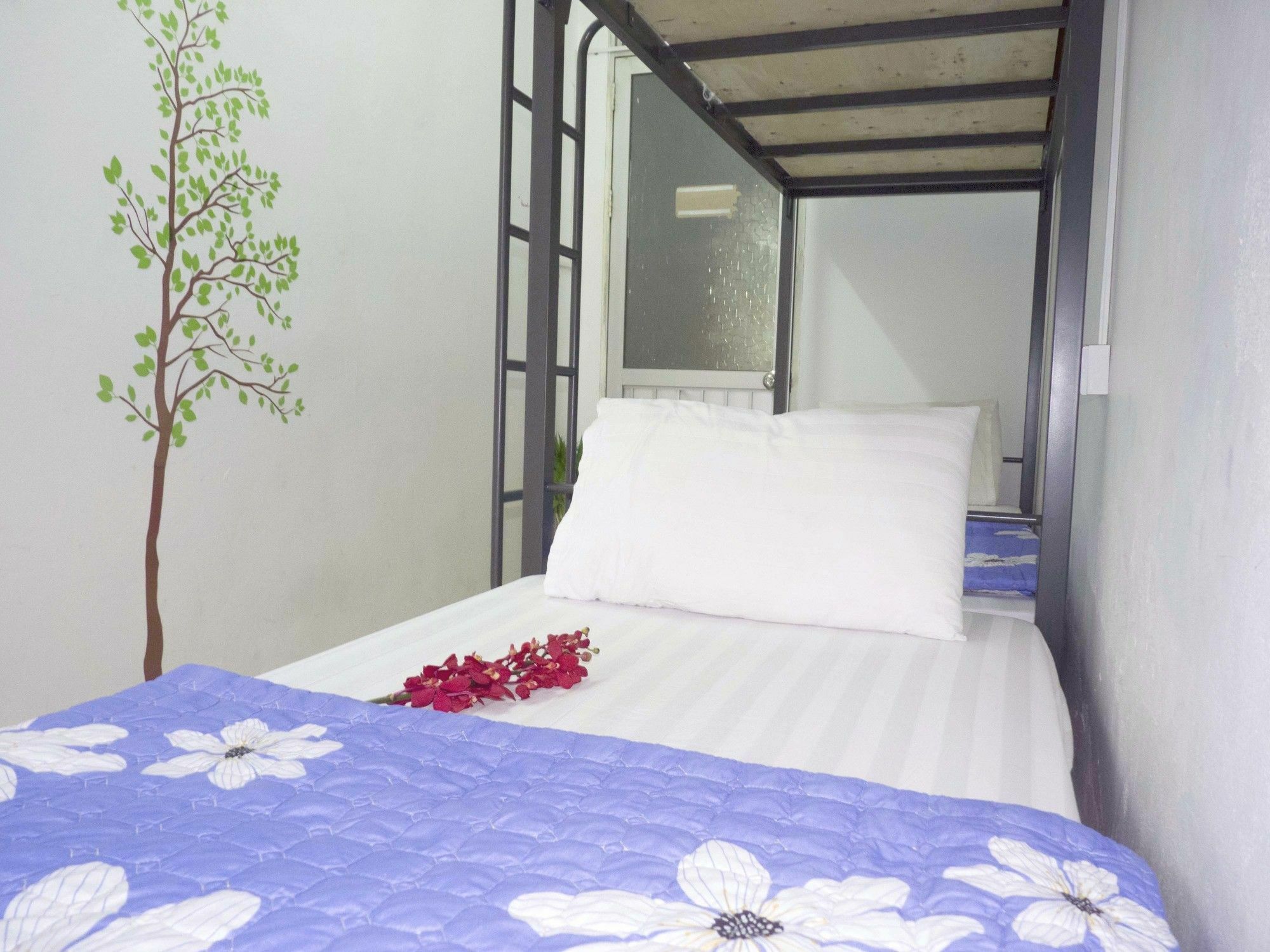 Daisy Hostel Hanoi Esterno foto